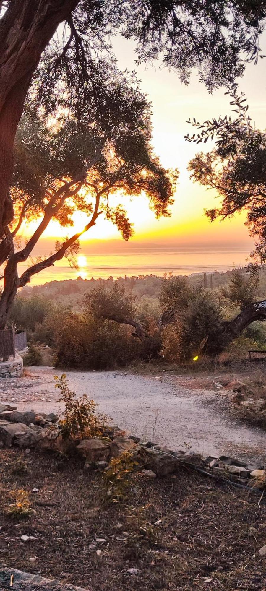 Casa Tereza Tatil Evi *