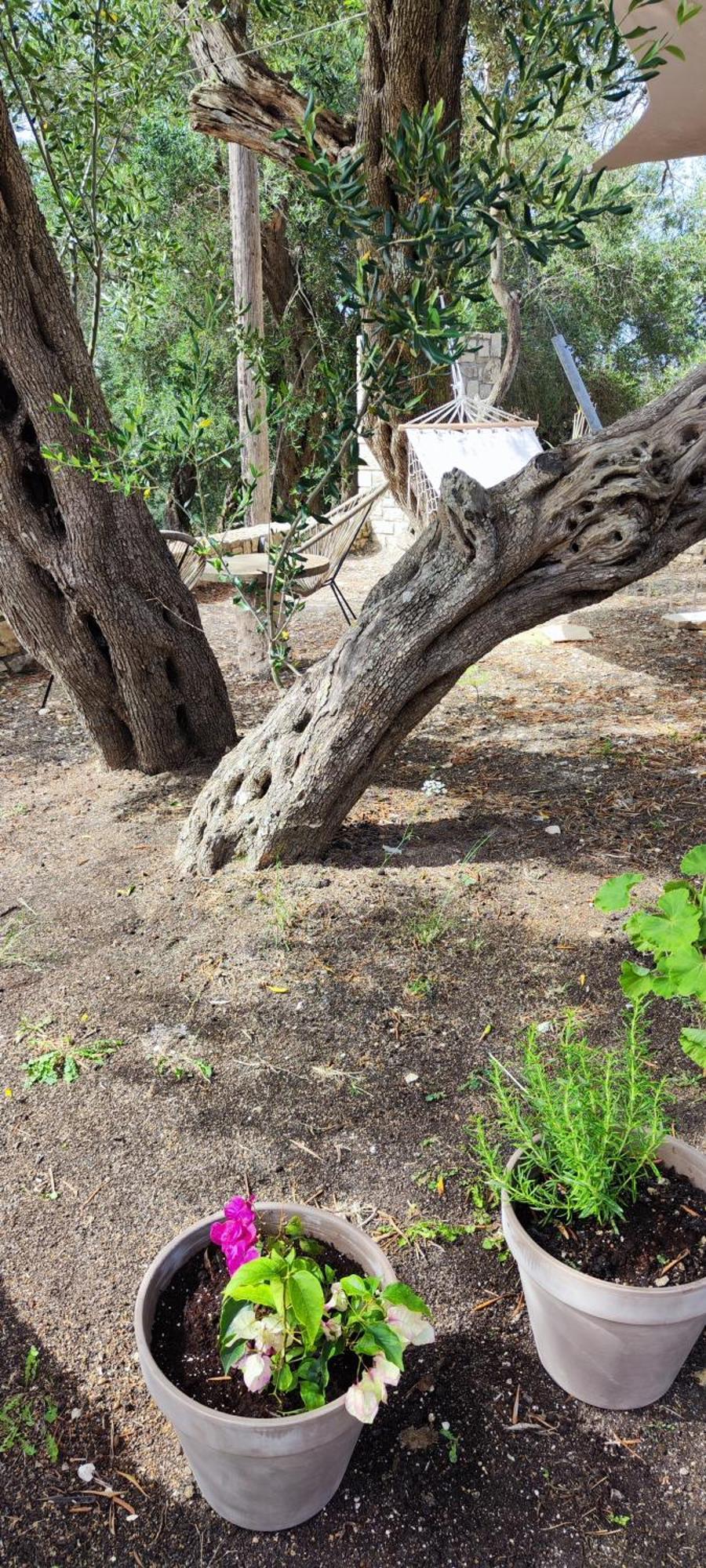 Tatil Evi Casa Tereza